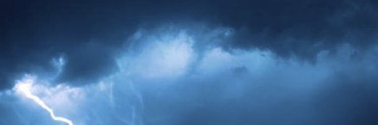 Perk Lee banner