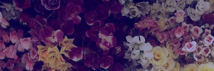 lanezboy's profile banner image