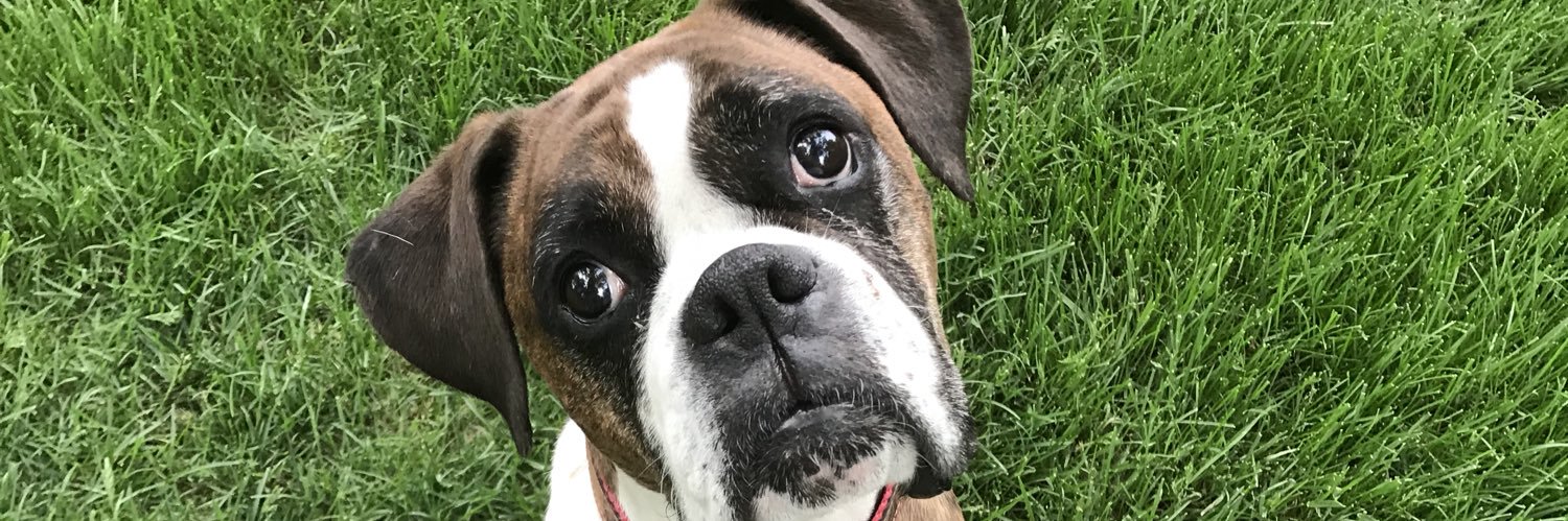 brycecolt1's profile banner image