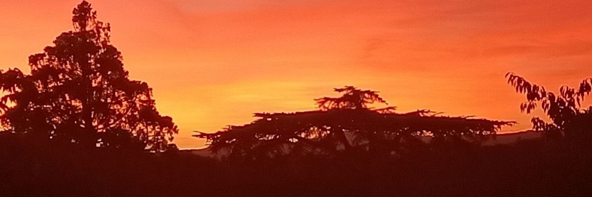 Rahmi43324323's profile banner image
