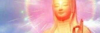 xinalbis's profile banner image
