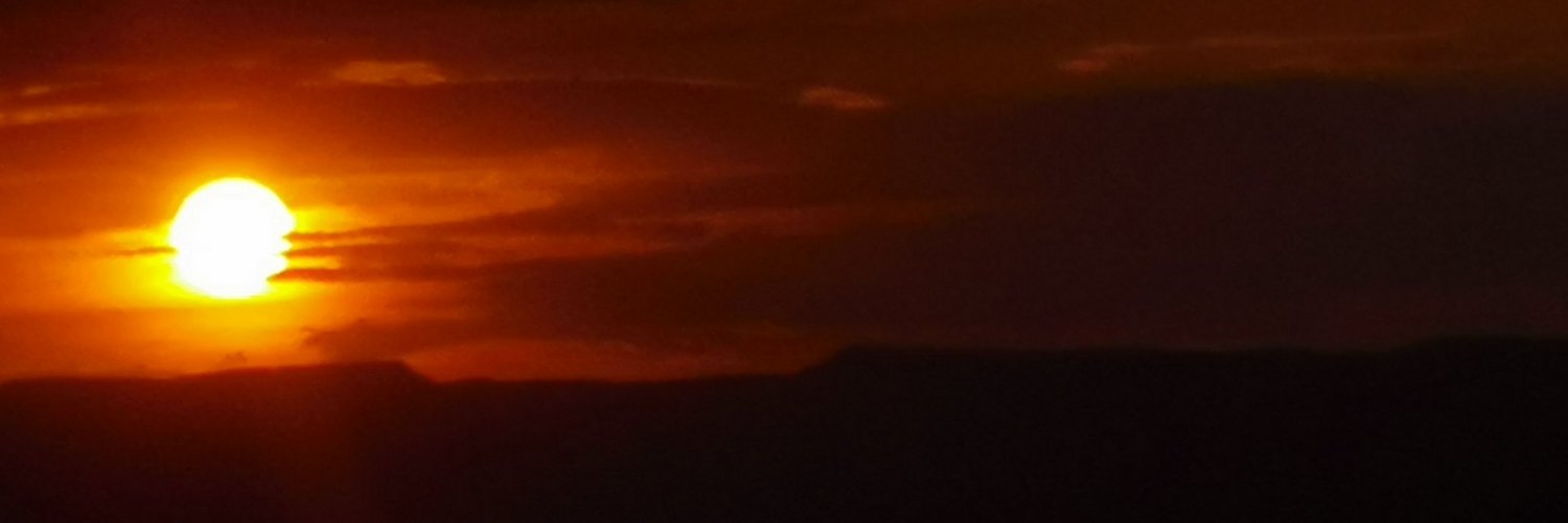 [PXLN] Robert el estudioso 🤓 banner