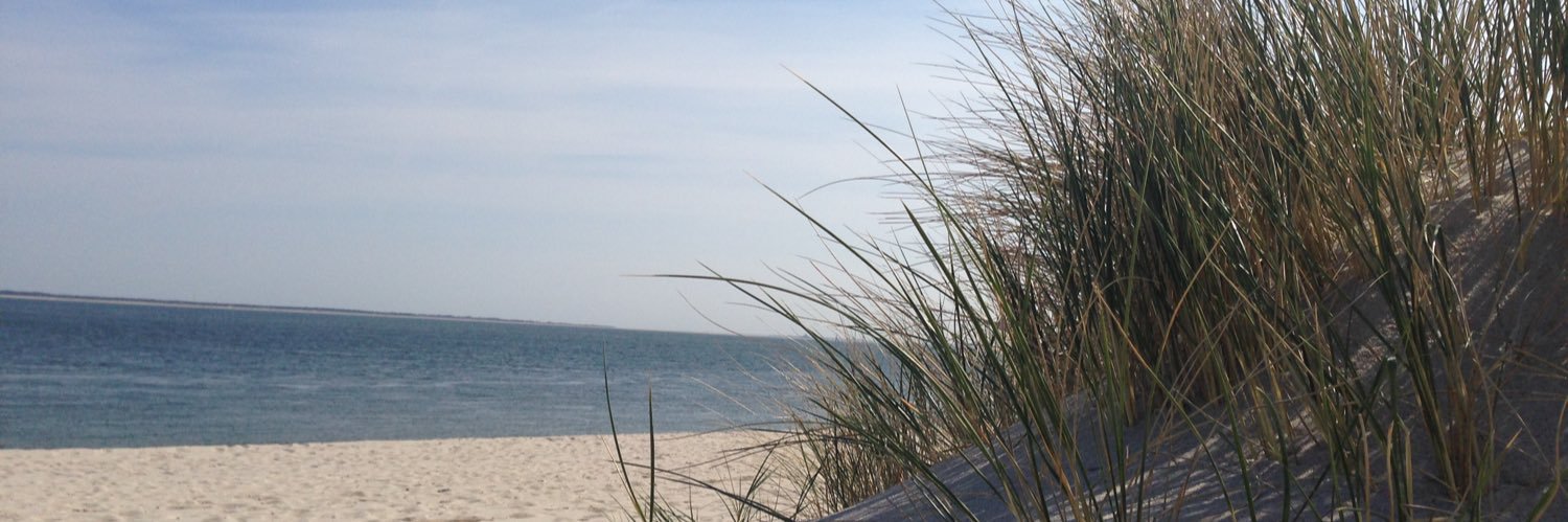 MarcSchemmel's profile banner image
