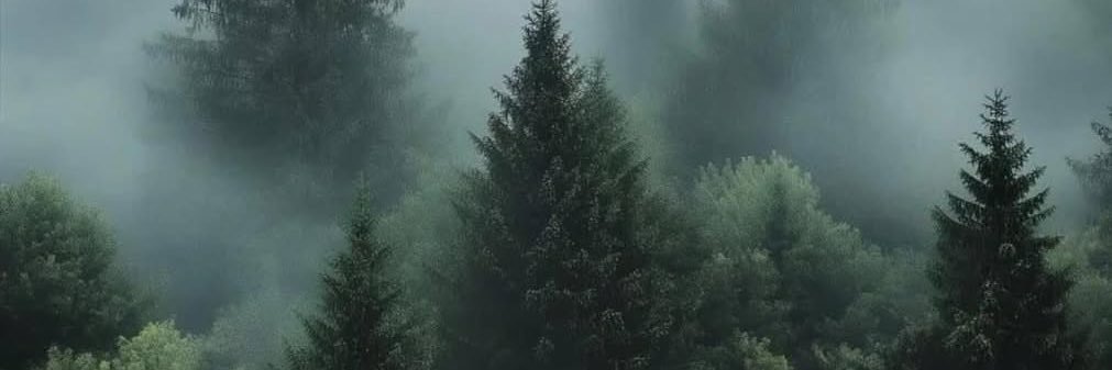 flyterbut_'s profile banner image