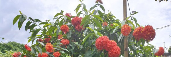 Im_ArupDas Profile Banner