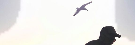 cesar_vsr's profile banner image