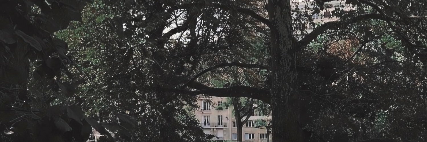 𑁍 banner