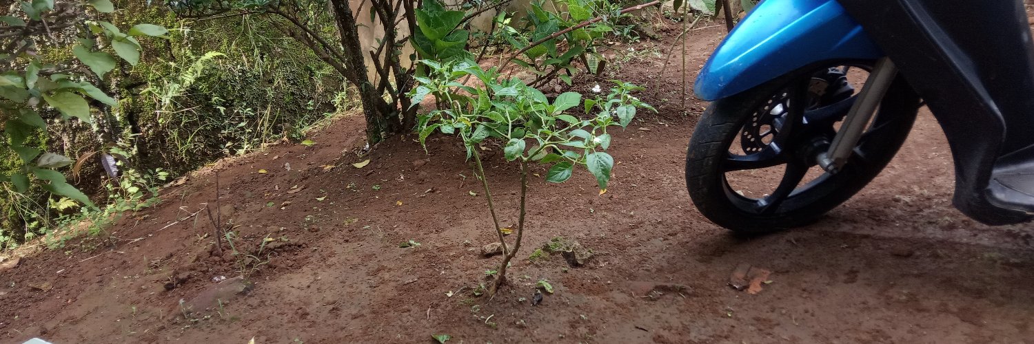 Khalisa altavia banner