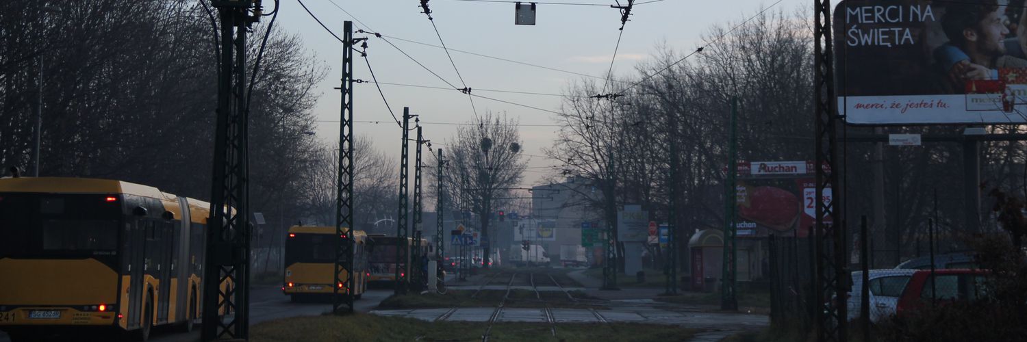 Posłanka Sejmu RNRL ⚡🏳️‍⚧️🦕🦖🇪🇺 banner