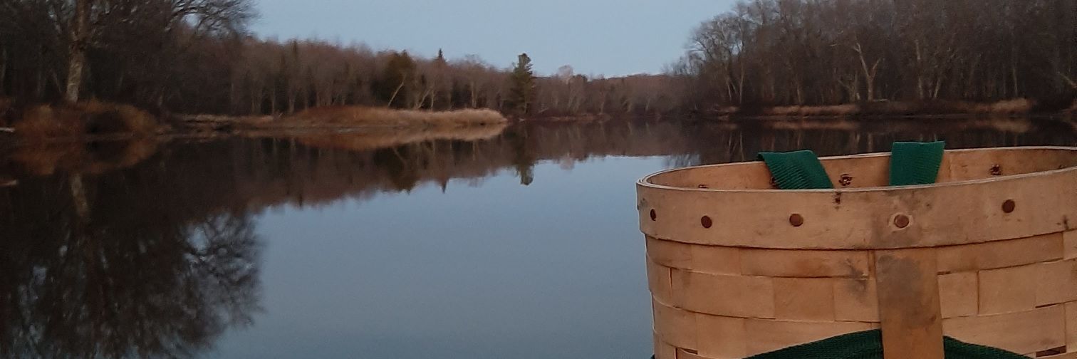 liberty hound banner