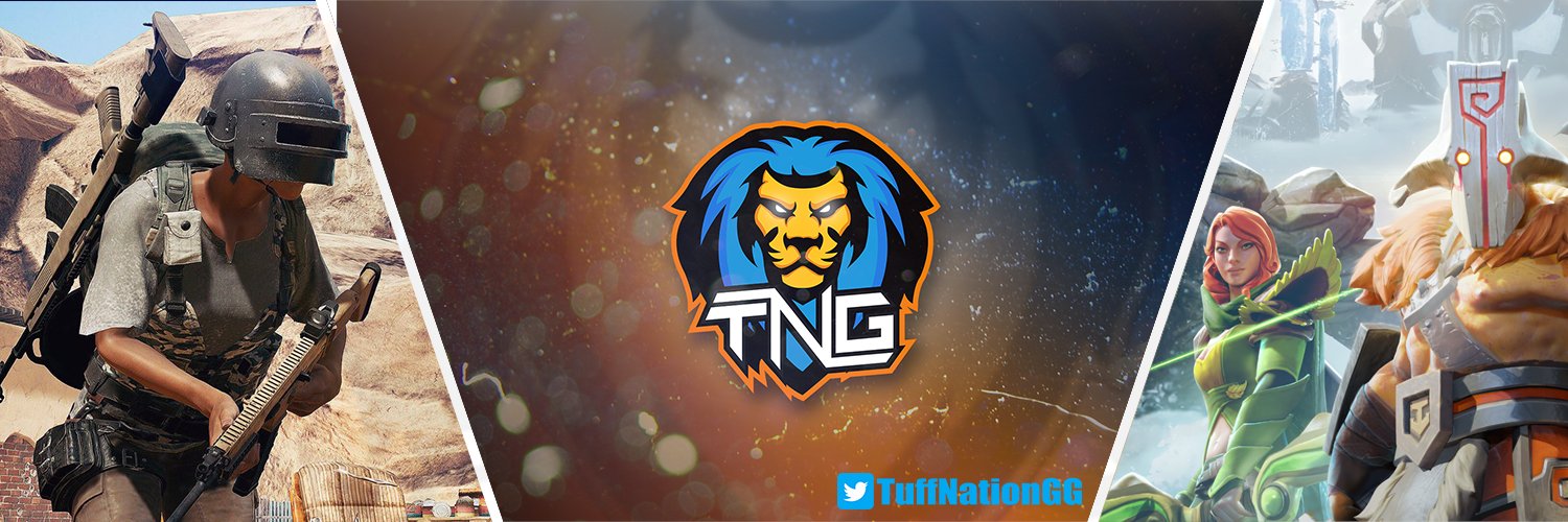 Tuff Nation Gaming🦁 banner
