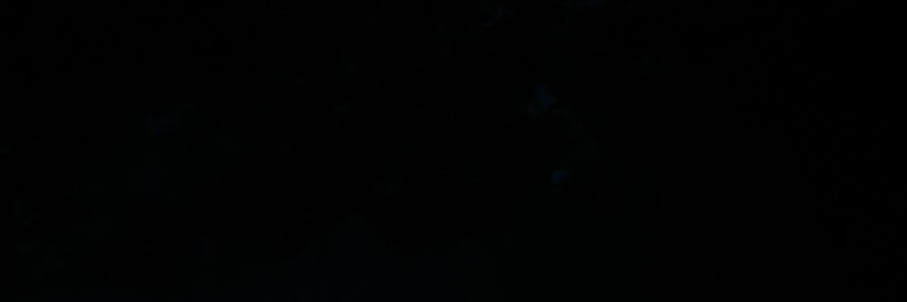 VaninaAnya's profile banner image