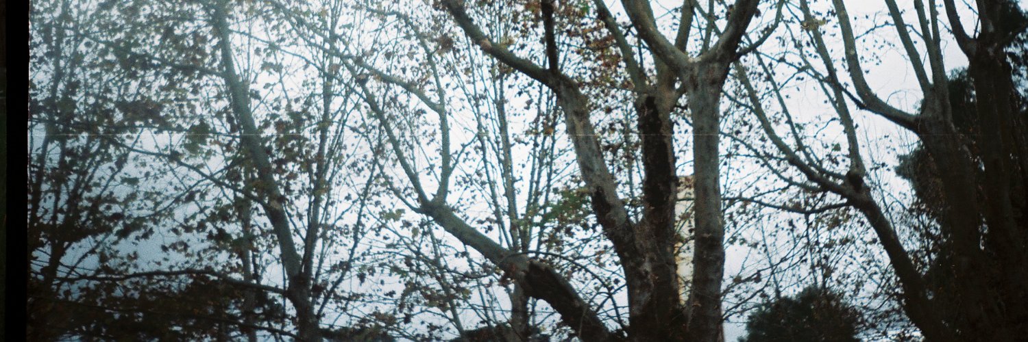 nimsaynada's profile banner image