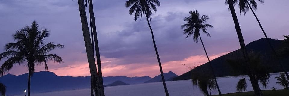 bruninmaximo's profile banner image