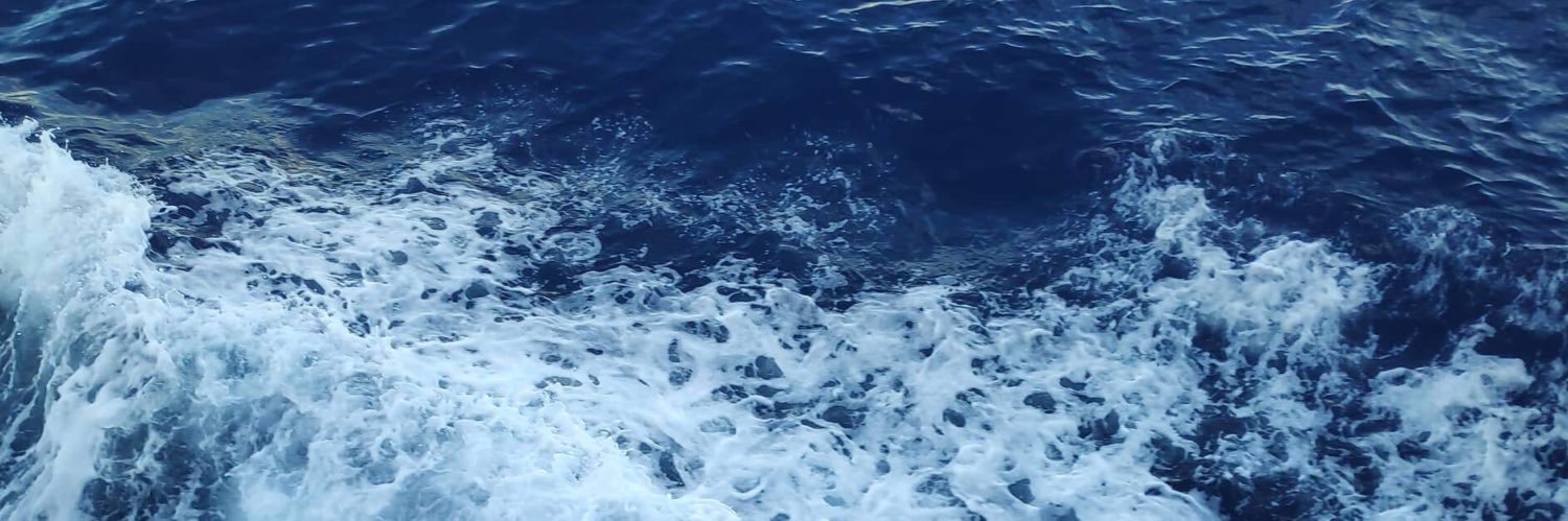 bea banner