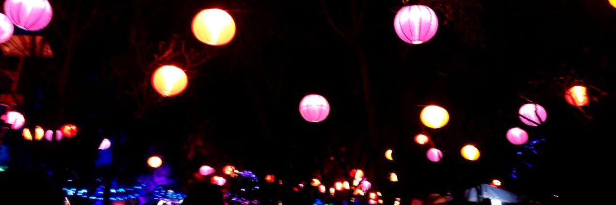 NancyZuga6's profile banner image