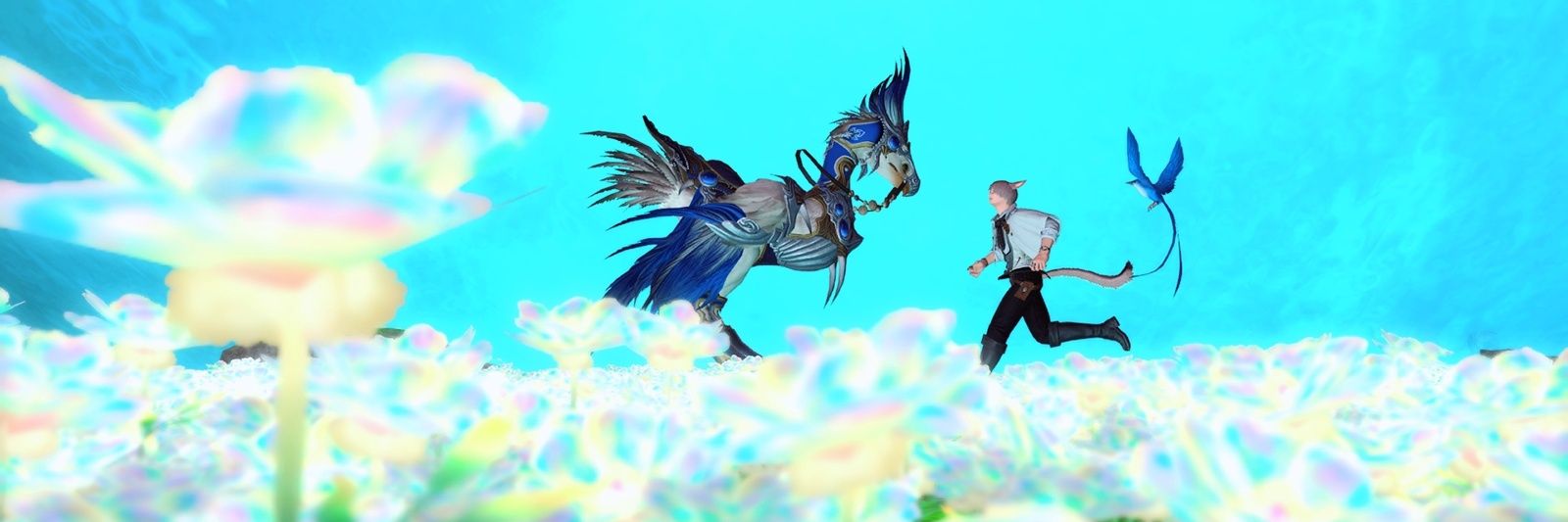 チロ𓏲𓎨FF14˖* banner