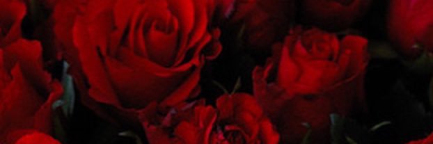 XXXTACYYY's profile banner image