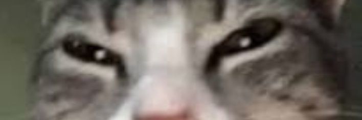 vosivv's profile banner image