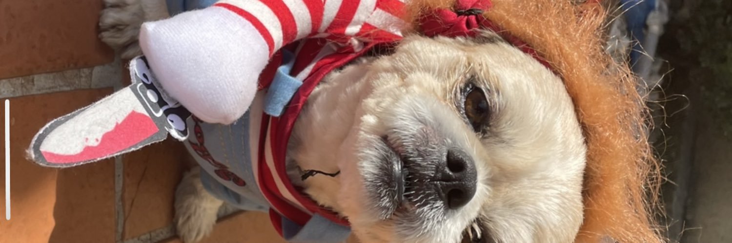 jgfrei_'s profile banner image