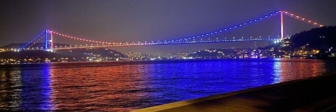 Boss Baykuşlar 🏆 banner