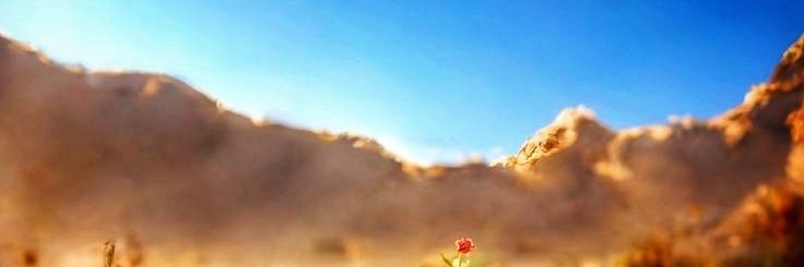 Gabbani_Land's profile banner image