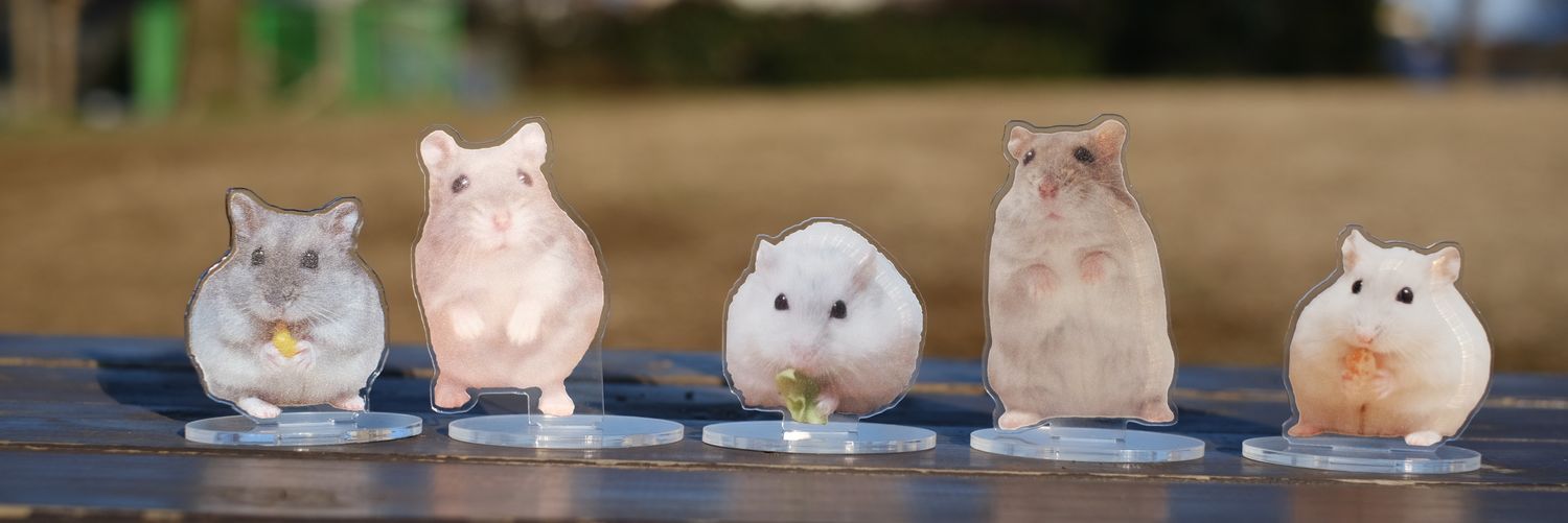 ゆい🐹🐹🐹🐹🐹🐹 banner