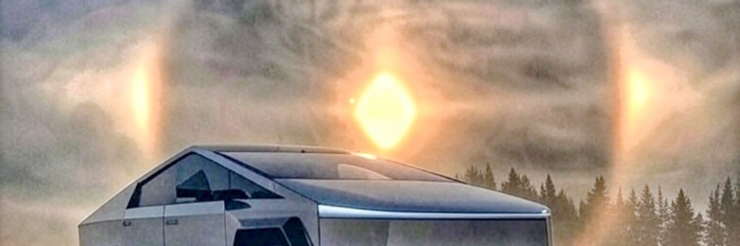truehearttiger's profile banner image