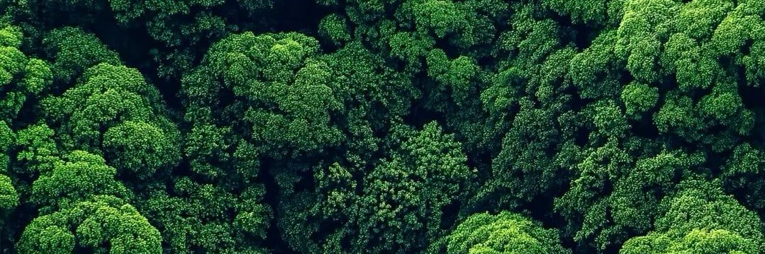 komail.base.eth ⨀ ☉ ℝ ∀ ⦿ ∞ π² (❖,❖) 🌶️ 𒀭⌘ (✱,✱) banner