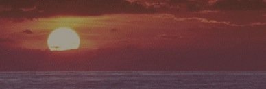 ElisaGambelli's profile banner image