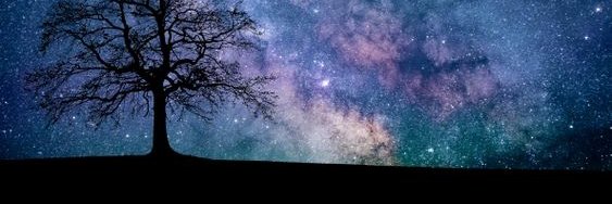 𝚜𝚒𝚛𝚘*返信🐢ｺﾞﾒﾝﾅｻｲ banner