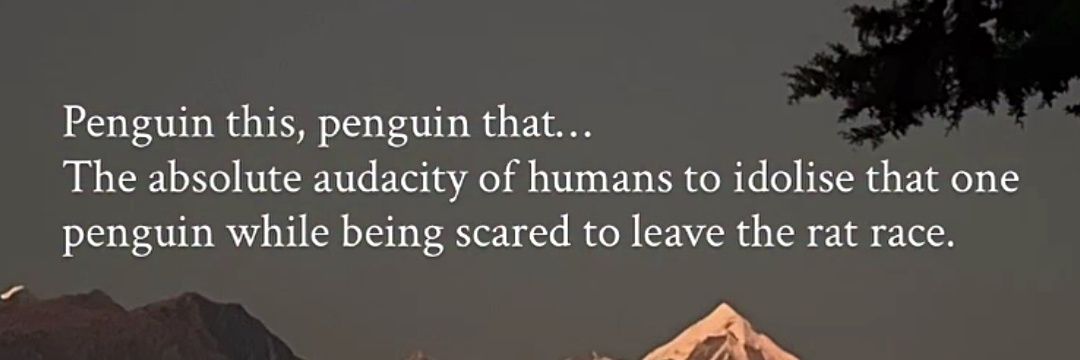 whouoman's profile banner image