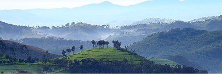 Beyanna® banner
