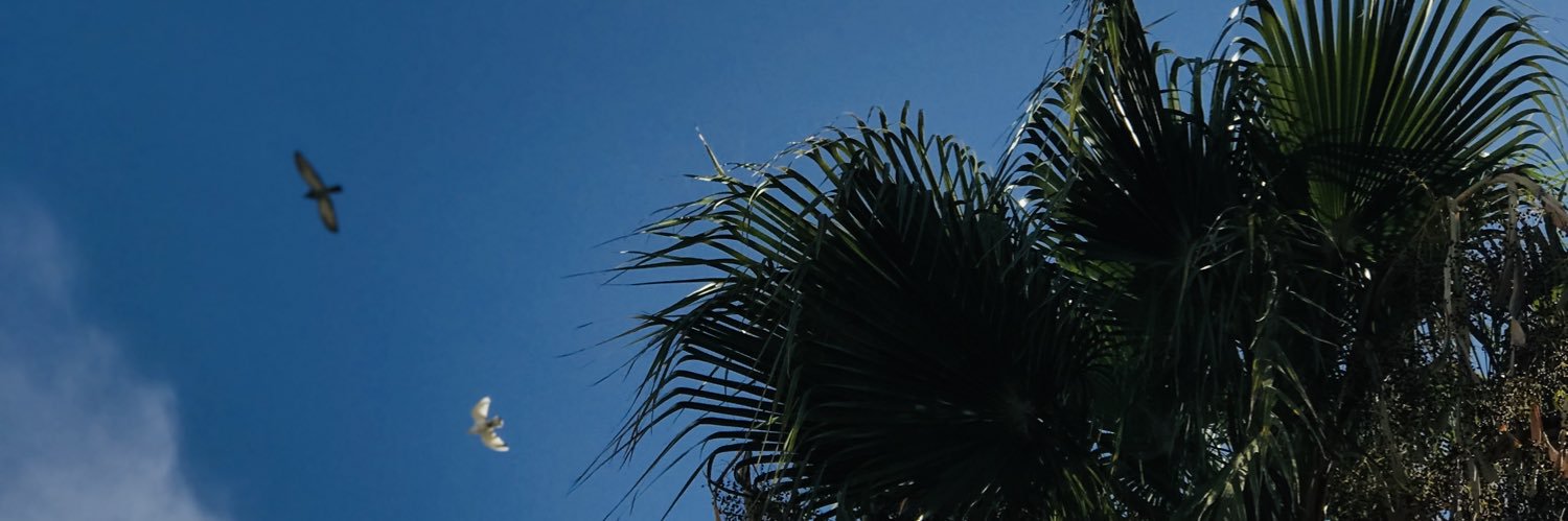 إبتهال البدارين banner