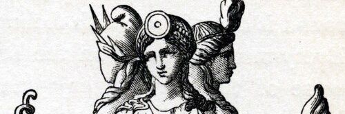 Alexandra Larossa banner