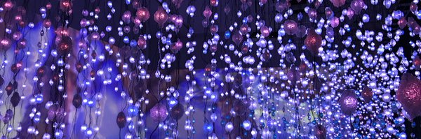 Raini_Rodriguez Profile Banner