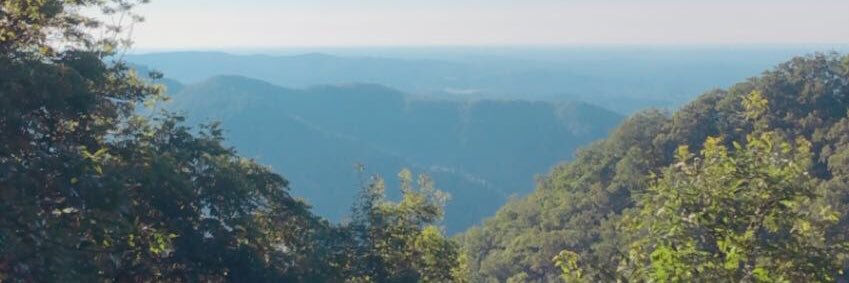 torimccabe44's profile banner image