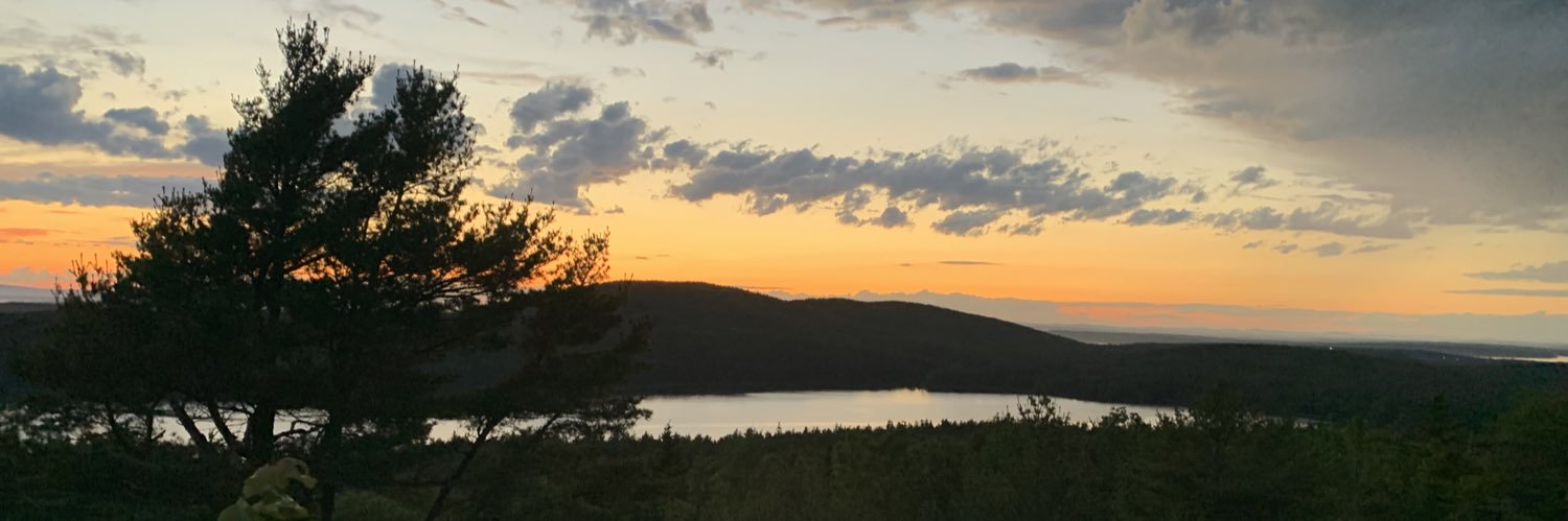 Ashley N. Collimore Doherty, Ph.D. banner