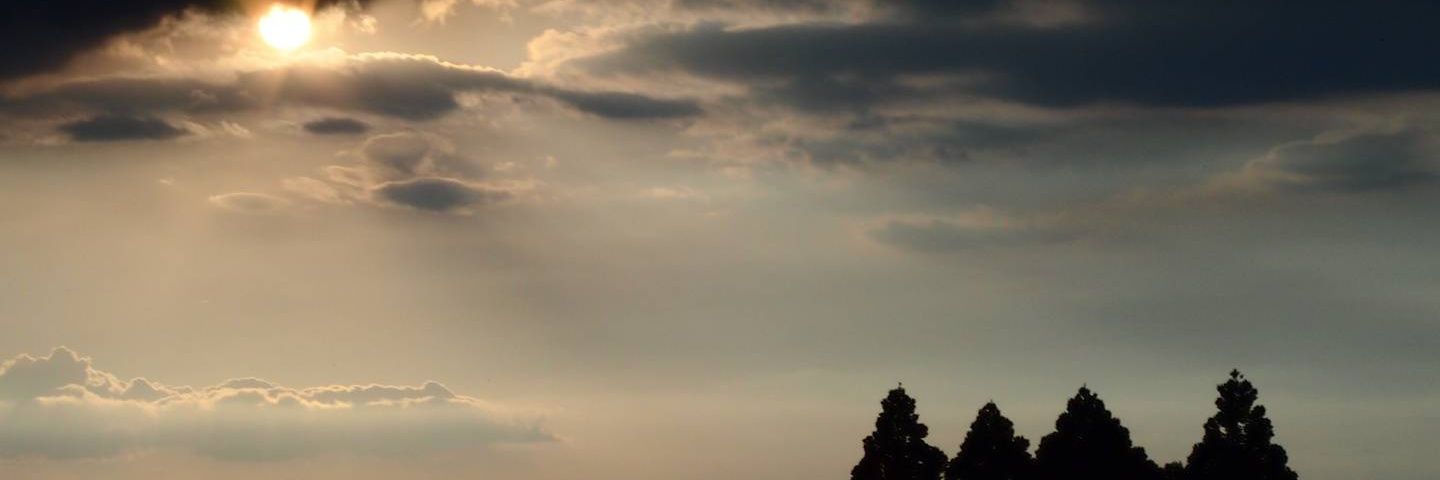 JeE17751's profile banner image