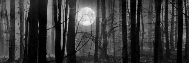 failtacularrr's profile banner image