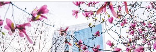 kwags07 Profile Banner