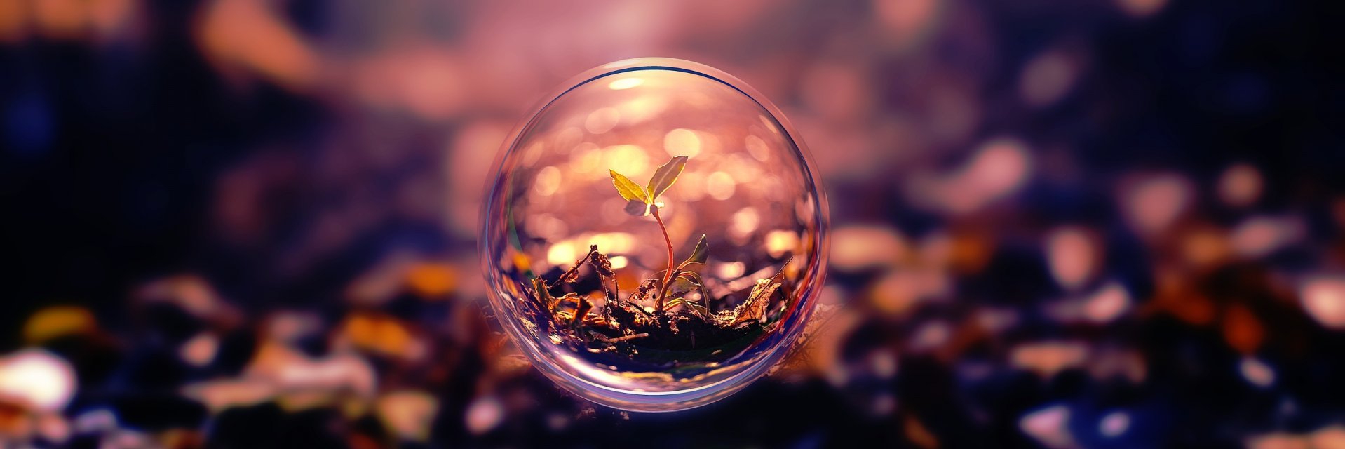 ele⁷ ✨🍁 banner