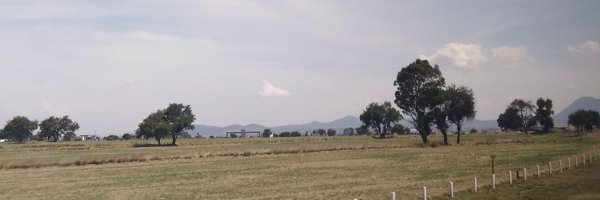 _jmejia Profile Banner
