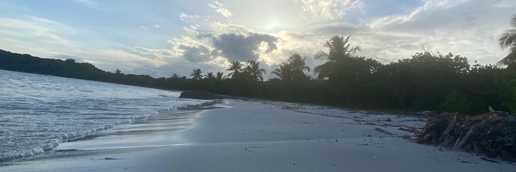 Alice Pérez Fernández banner