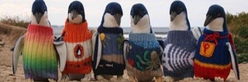 theindiecactus's profile banner image