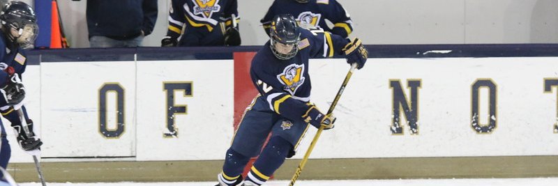 BadgersBeaver's profile banner image