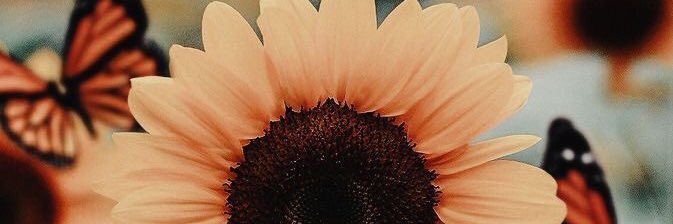 h_risner75's profile banner image