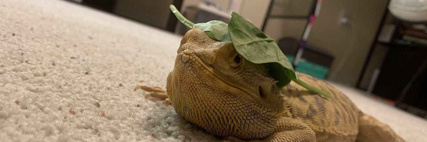 international marco banner