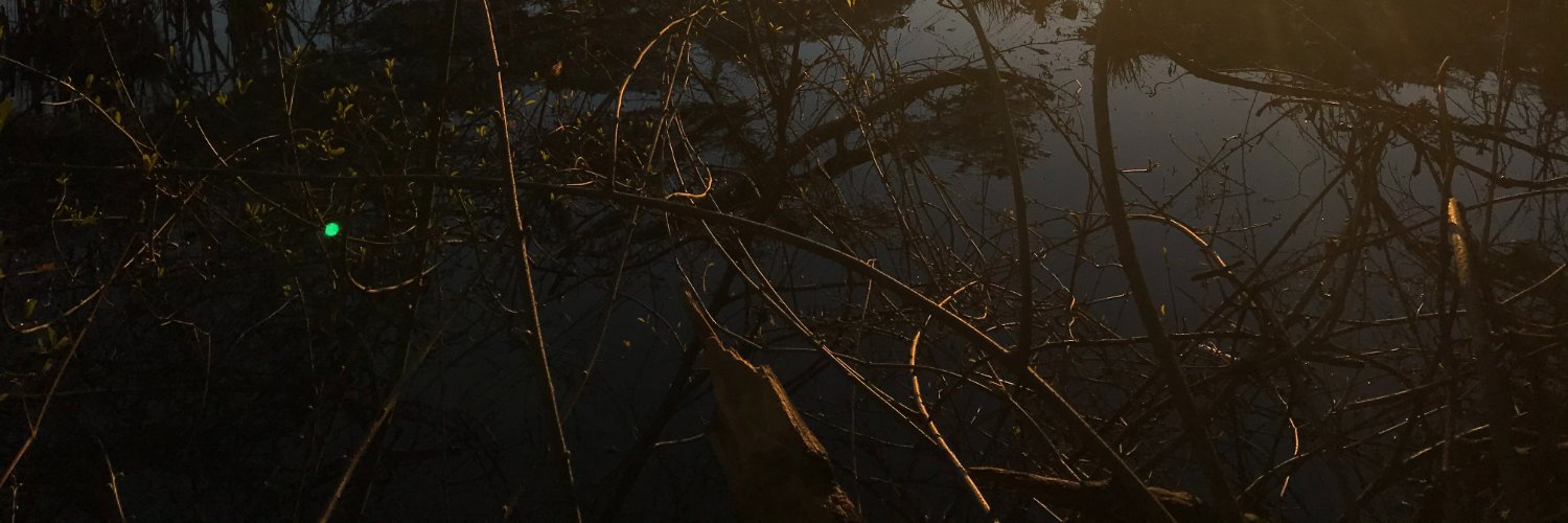 DUMBITC11's profile banner image