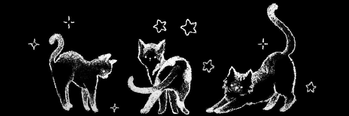 dUmBiTc11's profile banner image
